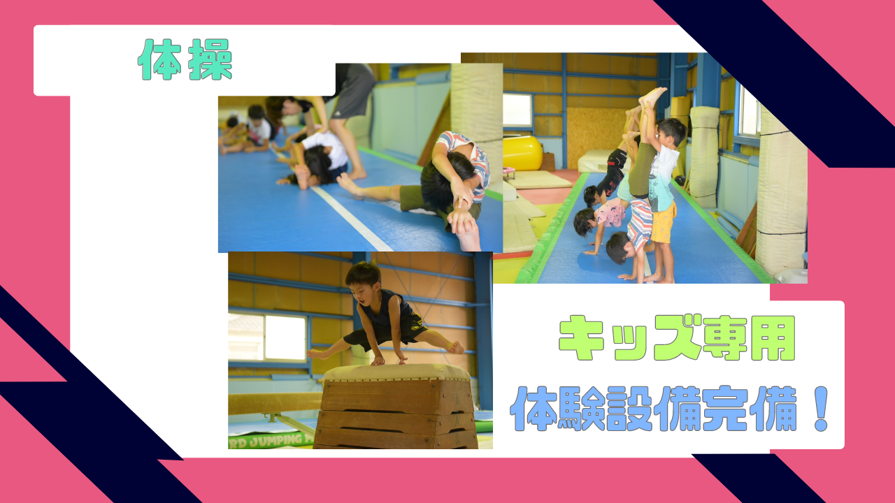 体操トップ画像